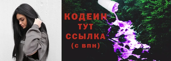 стаф Арсеньев