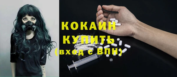 стаф Арсеньев