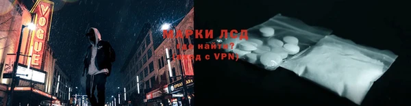 стаф Арсеньев