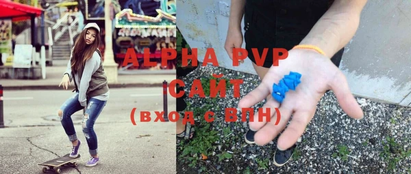 стаф Арсеньев