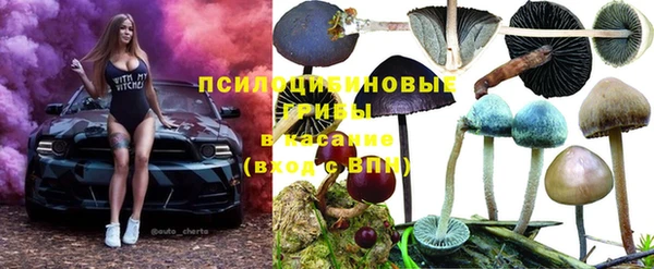 стаф Арсеньев
