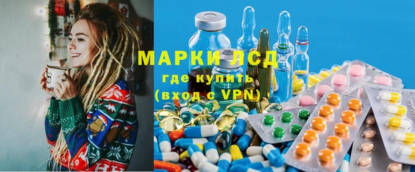 стаф Арсеньев