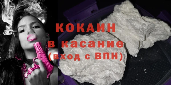 стаф Арсеньев