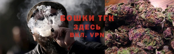 стаф Арсеньев