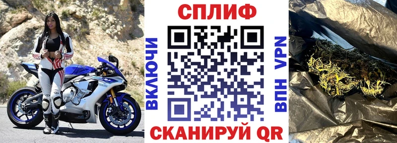 Бошки марихуана планчик Можга